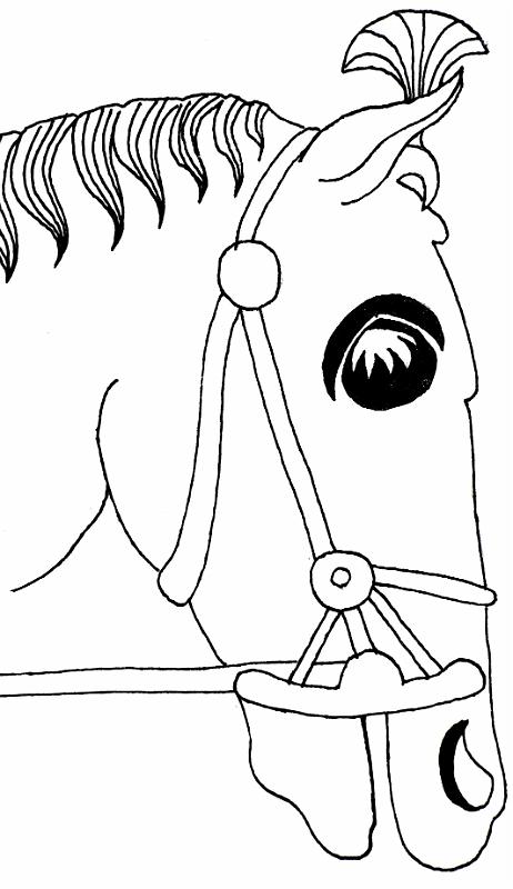 Sogdischer Hengst (Persepolis)T37A3.jpg